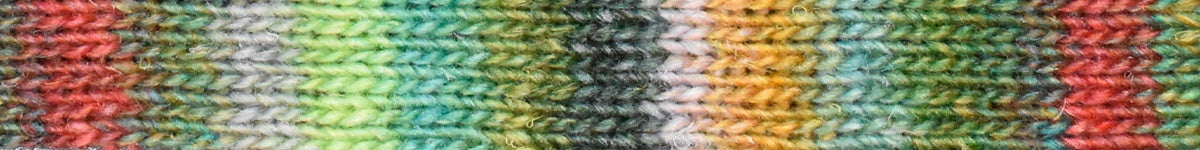 Silk Garden Sock & Sock Solo
