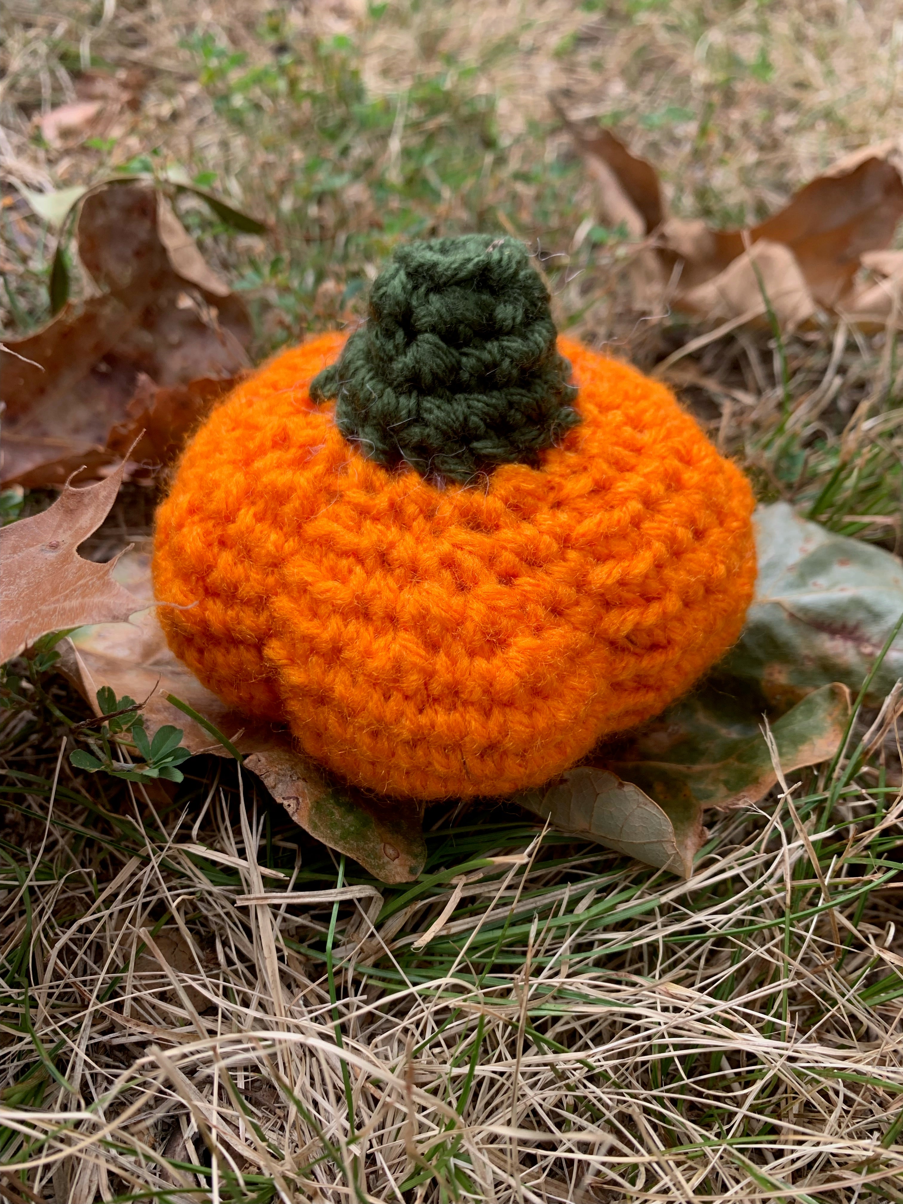 Intro to Crochet-Pumpkin Amigurumi Class