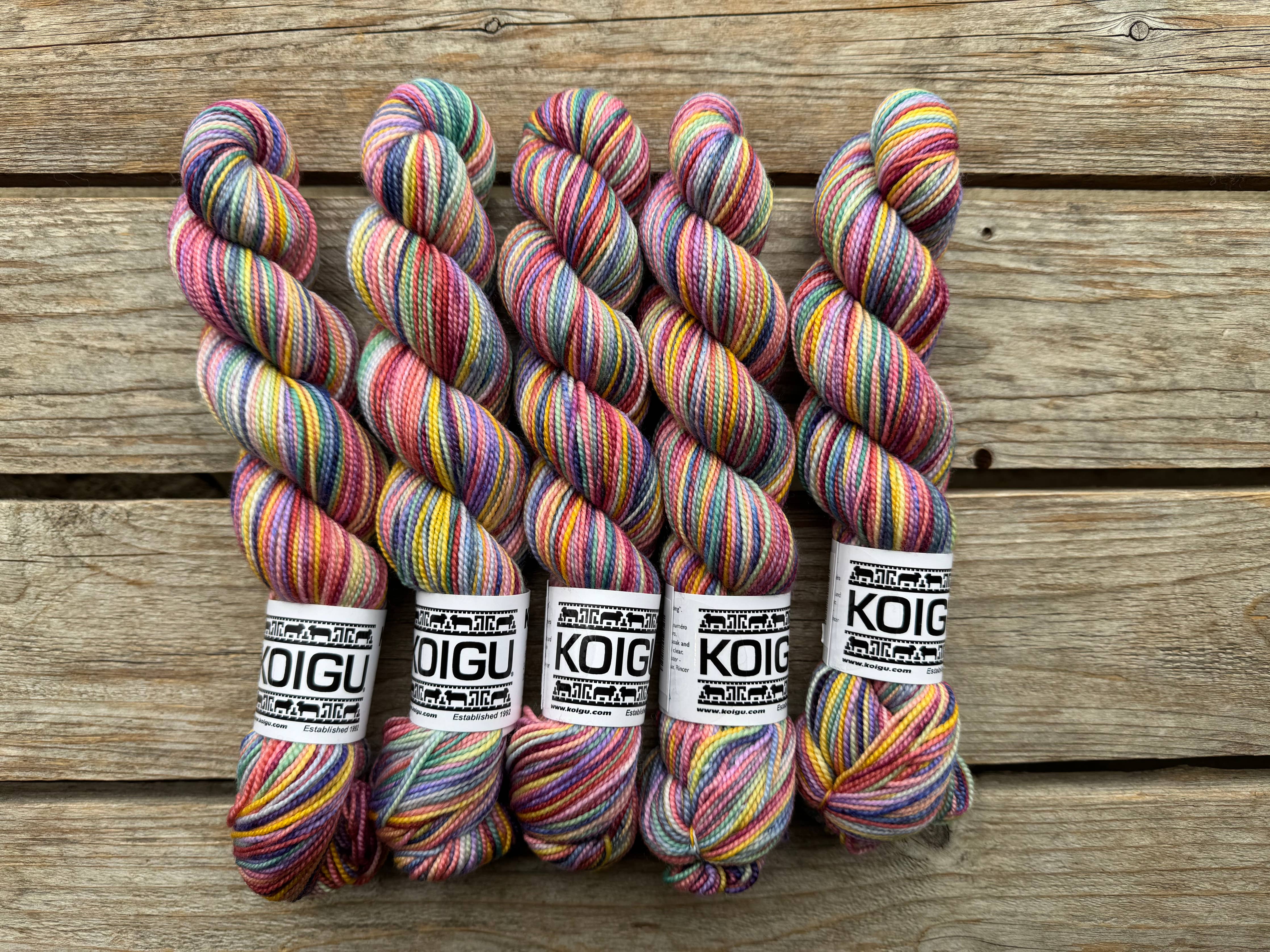 KPPPM (Koigu Painters Palette Premium Merino)