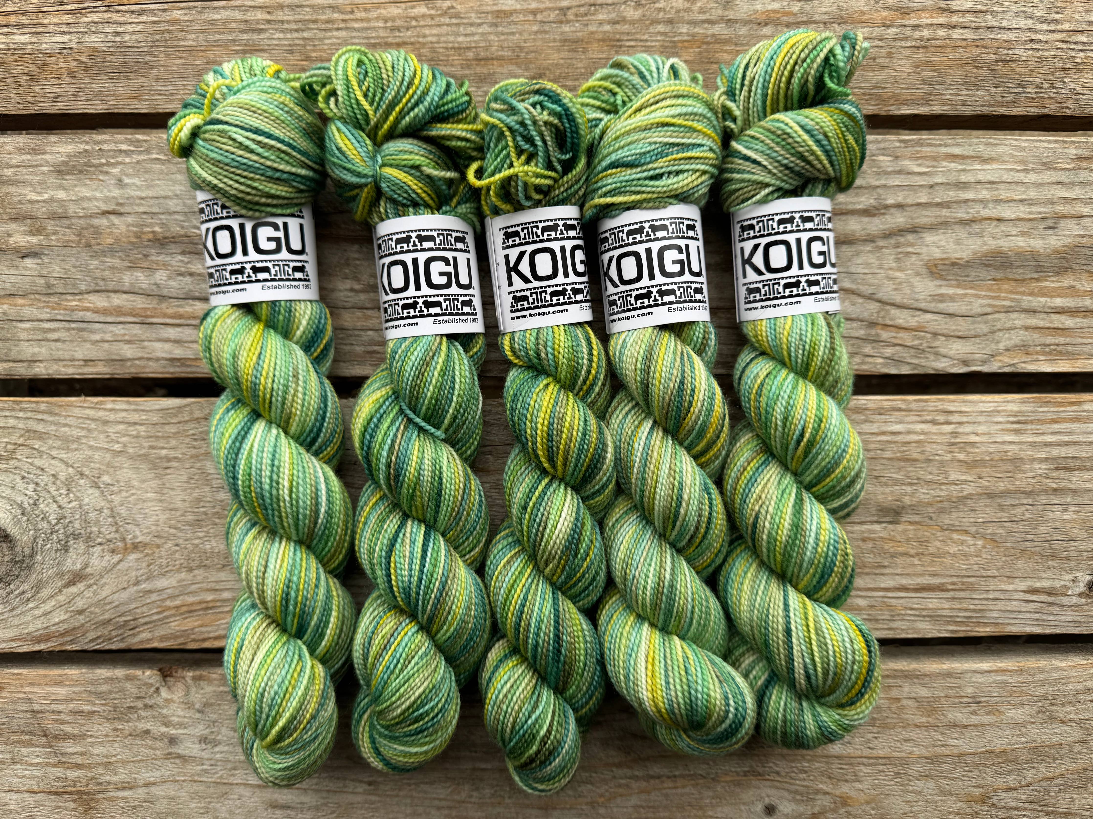 KPPPM (Koigu Painters Palette Premium Merino)